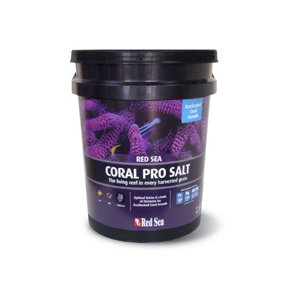 coral pro