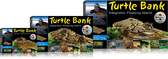 turtle bank isola tartarughe